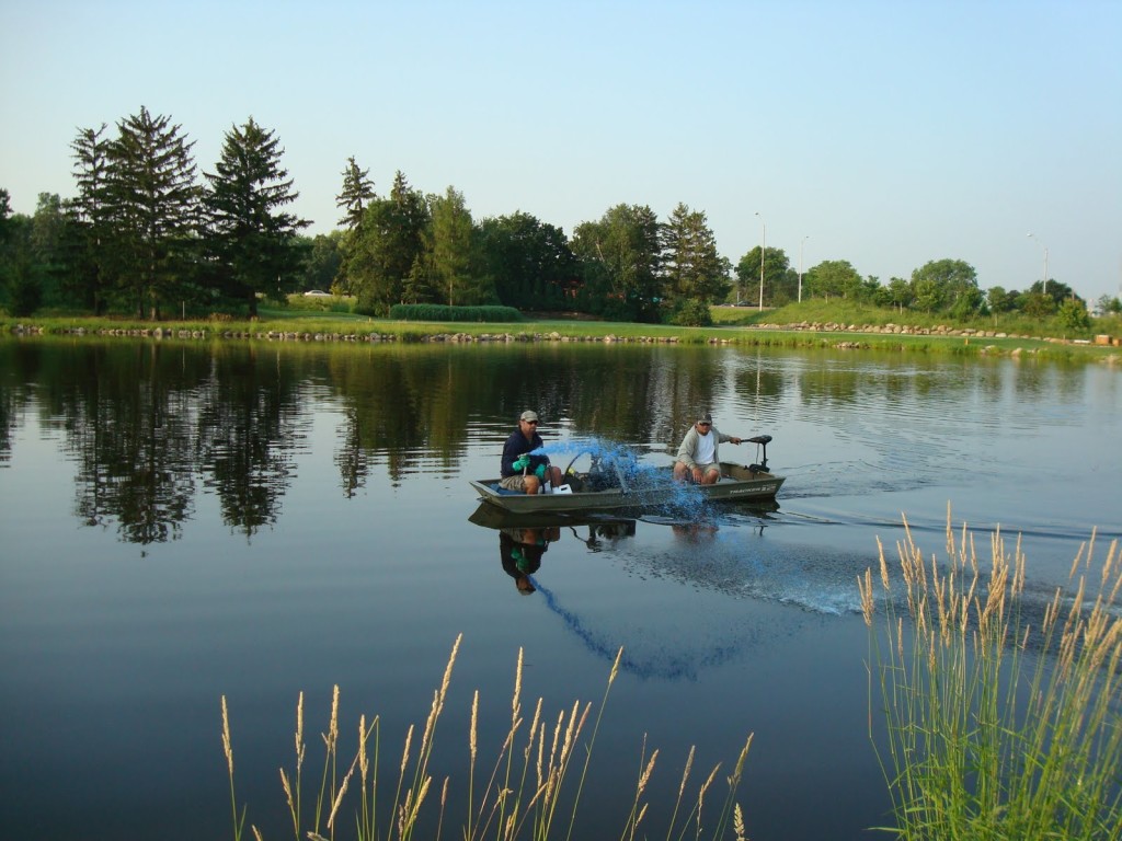 Pond algae control 002