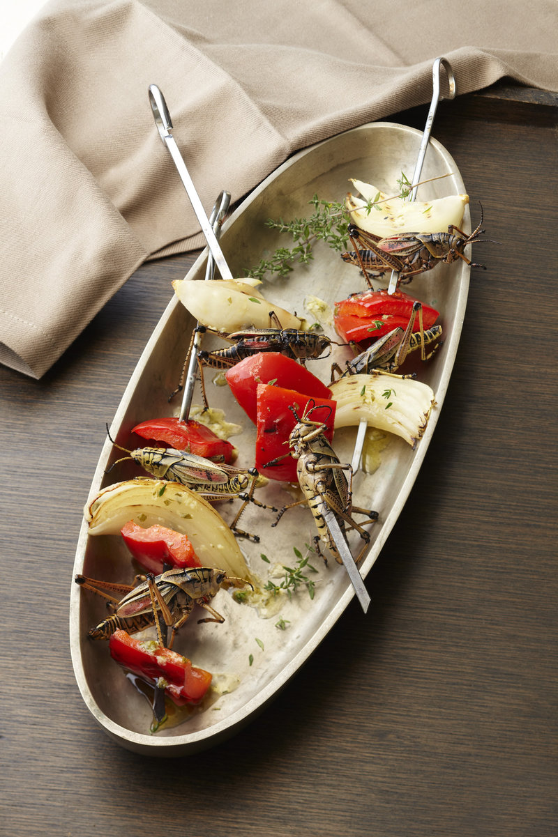 David Gordon Fried Shares Recipes On How To Prepare Crickets