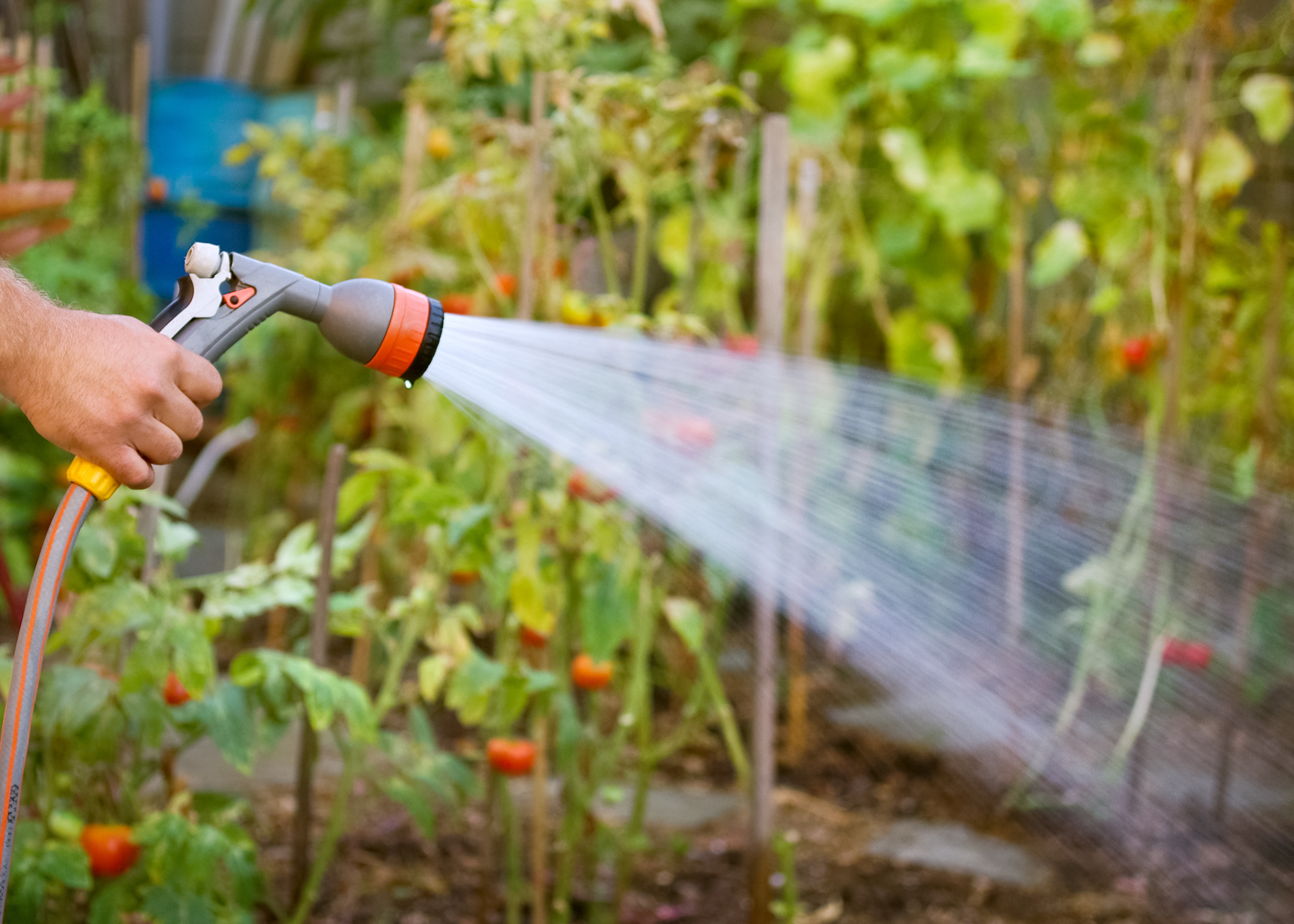 Is Your Garden Hose Toxic?