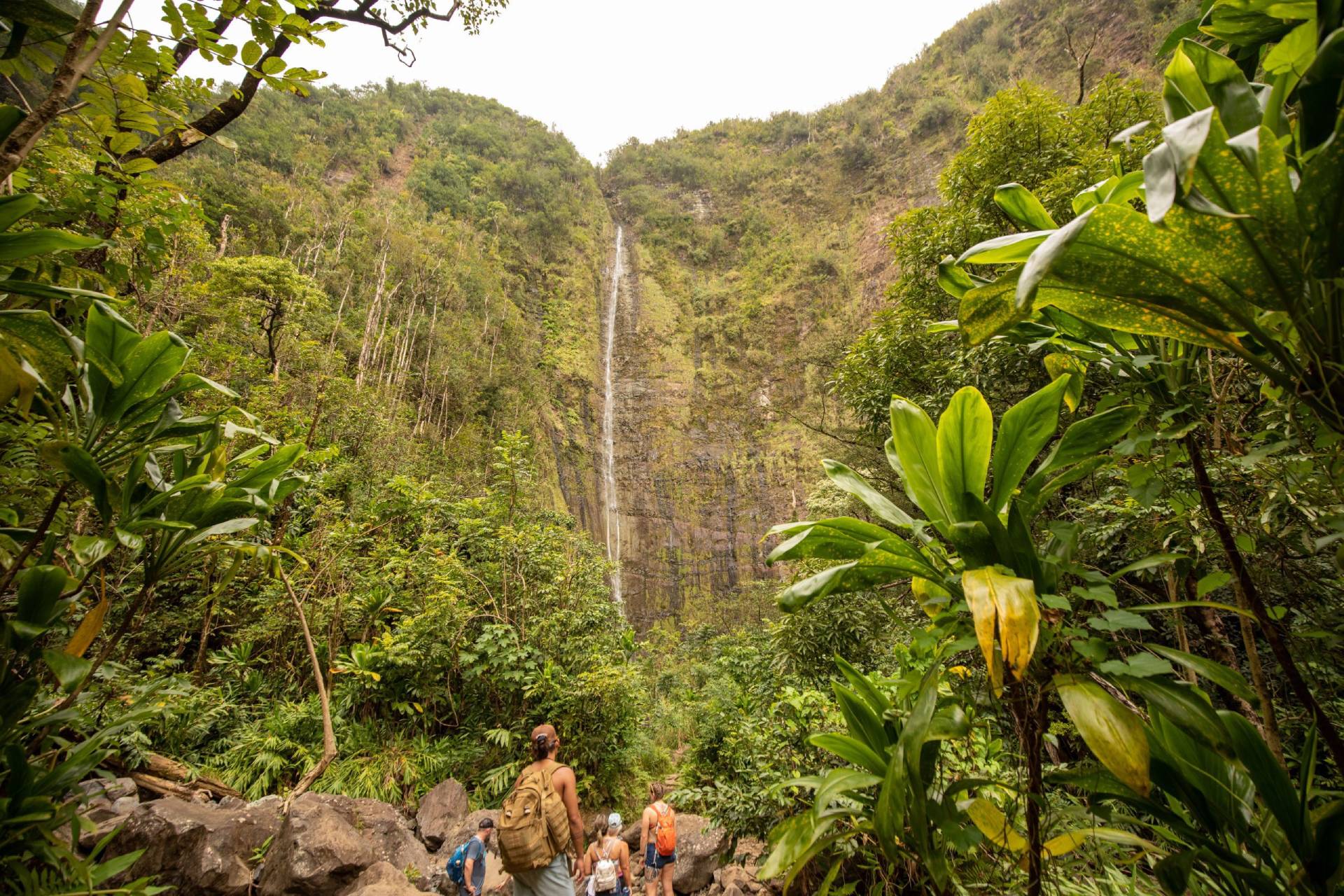 How To Plan A Road To Hana Day Trip with Time for Hiking