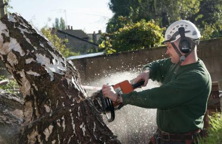 Tree Surgeons In Harrow Help In Maintaining Beautiful Gardens In Harrow. How?